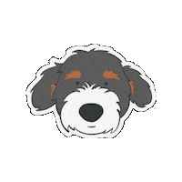 Bernedco happy dog face sweet Sticker