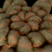 Animation Loop GIF by xponentialdesign