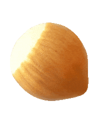 Nuts Sticker by Cedric Grolet