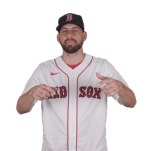 Red Sox Baseball Sticker by Boston Red Sox