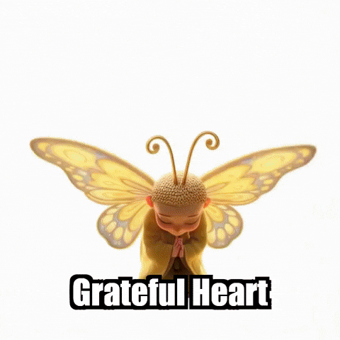 Family Thanksgiving GIF by BuddhaFlyJourney
