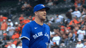 Blue Jays Baseball GIF by Toronto Blue Jays