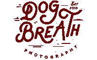 dogbreathphoto dog dogs dogbreath kayleegreer Sticker