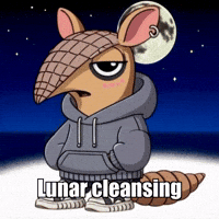Wisdom Rest GIF by Chillo Dillo