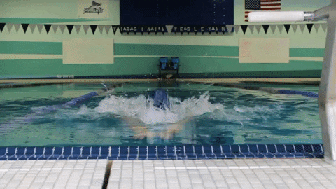 Wethebeach Virginiawesleyan GIF by VWU Marlins