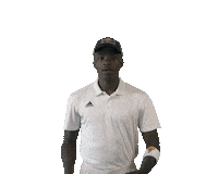 Celebrate South Africa Sticker by Red Bull