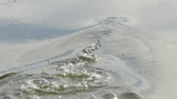 water sky GIF