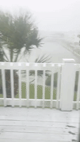 Strong Winds Whip Through Tampa Bay Area as Severe Weather Strikes Florida