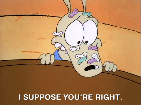 rockos modern life nicksplat GIF