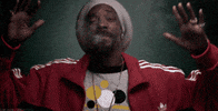 snoop dr dre GIF