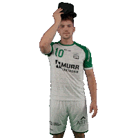 Handball Froehlich Sticker by DAIKIN HBL