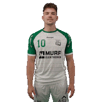 Handball Froehlich Sticker by DAIKIN HBL