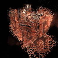 reinbijlsma trippy weird nft vr GIF