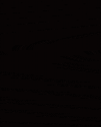 Mens Tennis GIF by Louisville Cardinals