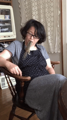 cuteanimalland giphyupload GIF