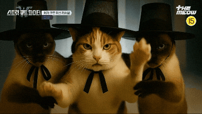 틴더스 GIF