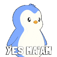 Aye Aye Yes Sticker by Pudgy Penguins