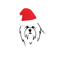Santa Claus Christmas Sticker by CotonshoppenGIFS