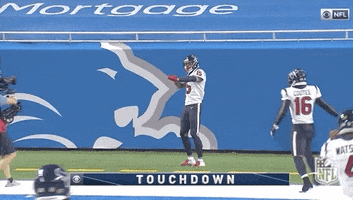 Will Fuller Football GIF by NFL