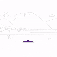 United Nations Un GIF by FAO