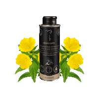 Germany Oil Sticker by GranataPet