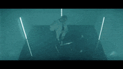 dev09 music rap house shit GIF
