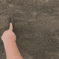 Kitten GIF by eventgraphics