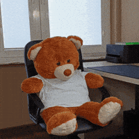 Sheerio GIF by eventgraphics