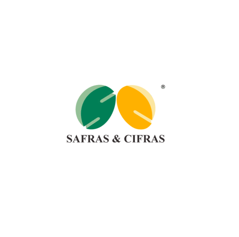 logo Sticker by Safras & Cifras