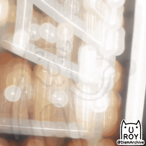 College Yes GIF
