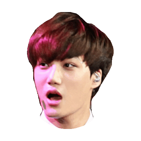 exo STICKER by imoji