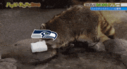 FanDuel sports football nfl japan GIF