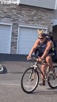 Corgi Goes for Bike Ride 