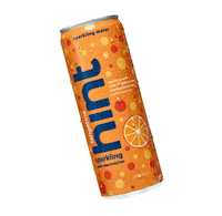 Sparkling Water Tangerine Sticker by Hint