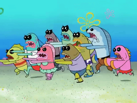 season 8 GIF by SpongeBob SquarePants