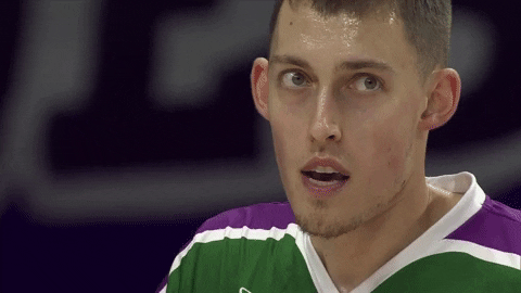 liga endesa basketball GIF by ACB