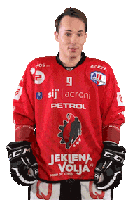 Hockey Hokej Sticker by HDD SIJ Acroni Jesenice