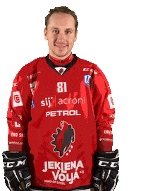 Steelers Sticker by HDD SIJ Acroni Jesenice