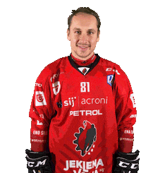 Steelers Sticker by HDD SIJ Acroni Jesenice