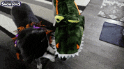 Trick Or Treat Halloween GIF by Gone to the Snow Dogs