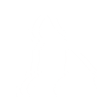 China Raquel Sticker by eltrecetv