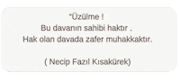 Ozgur Aksa Sticker