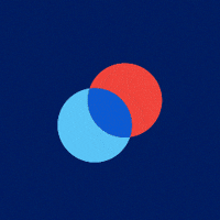 Articfox GIF by nv
