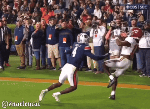 Alabama Football GIF