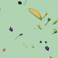 Animation Flowers GIF by Mighty Oak