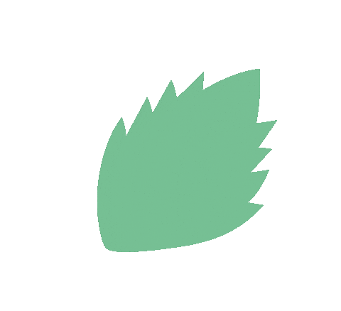 Menthe Boucles Sticker by La Belle Boucle