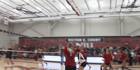 volleyball niu GIF by Northern Illinois University