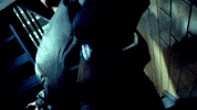 Is Like GIF by Nas