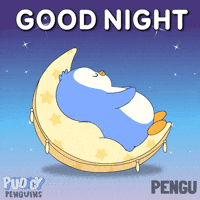 Good Night Sleeping GIF by Pudgy Penguins