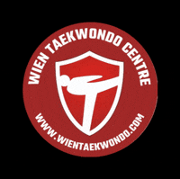 GIF by Wien Taekwondo Centre